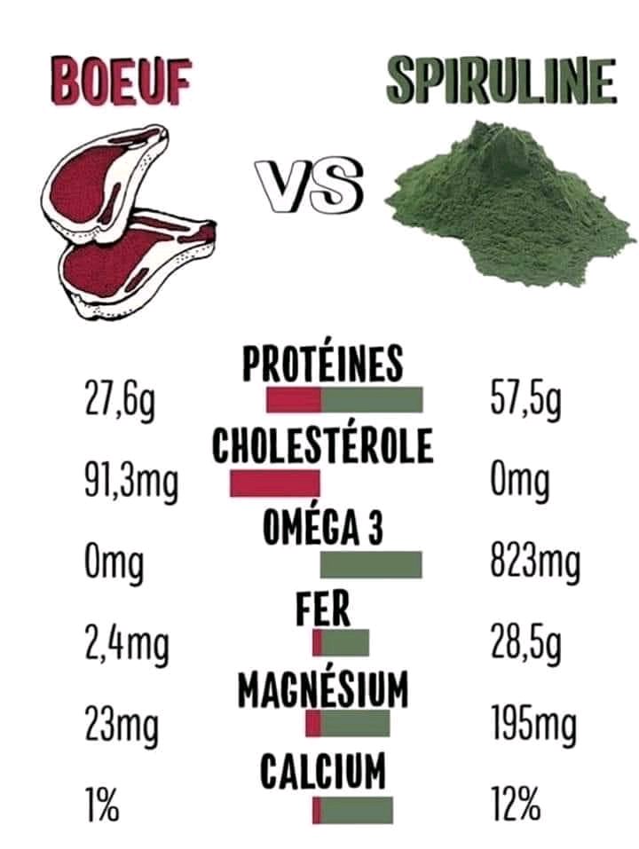 Spiruline Hawaïenne Edmark